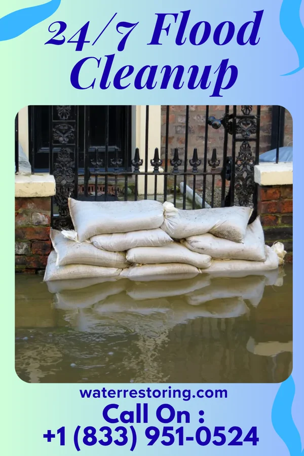 24/7 Flood Cleanup in Ephesus, GA