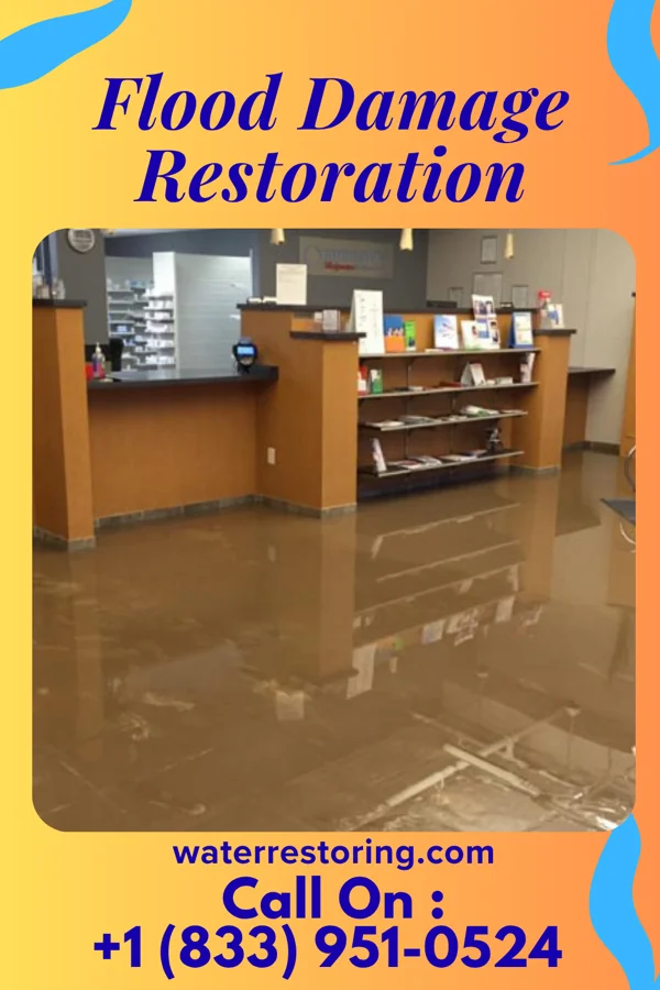 Flood Damage Restoration in Ephesus, GA