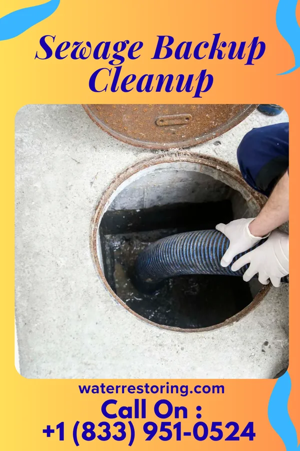 Sewage Backup Cleanup in Ephesus, GA
