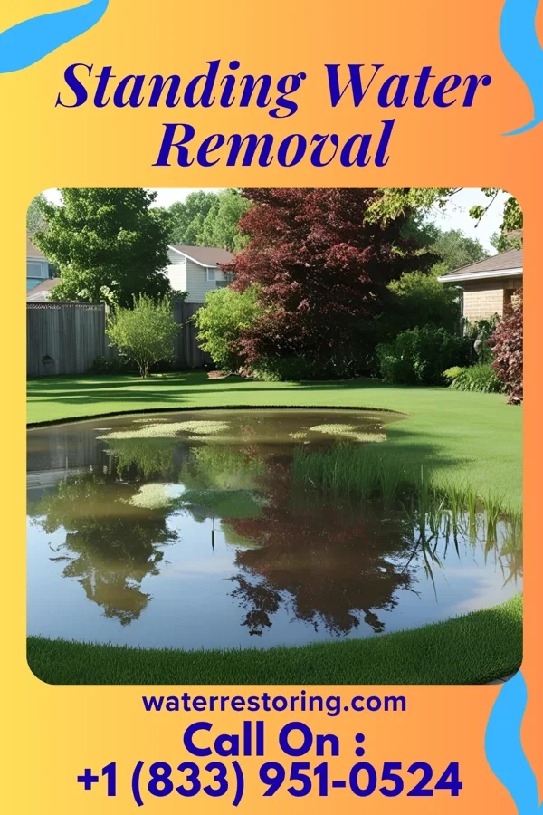 Standing Water Removal in Ephesus, GA